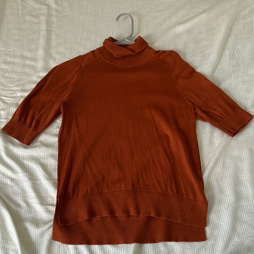 Everlane Merino-Cutton Turtleneck Tee
